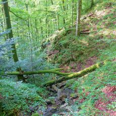 Weidfelder bei Gersbach und an der Wehra
