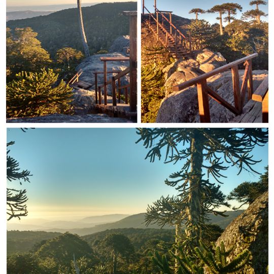 Nahuelbuta National Park