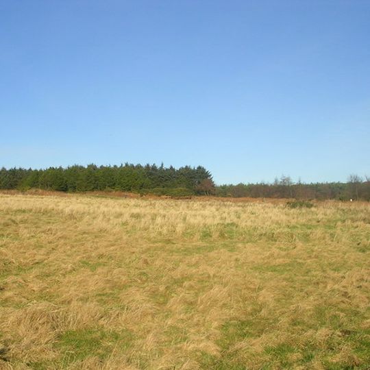 Scotstown Moor