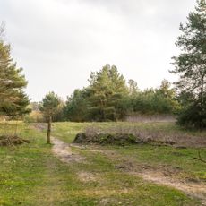 Senne mit Stapelager Senne