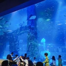 Lotte World Aquarium