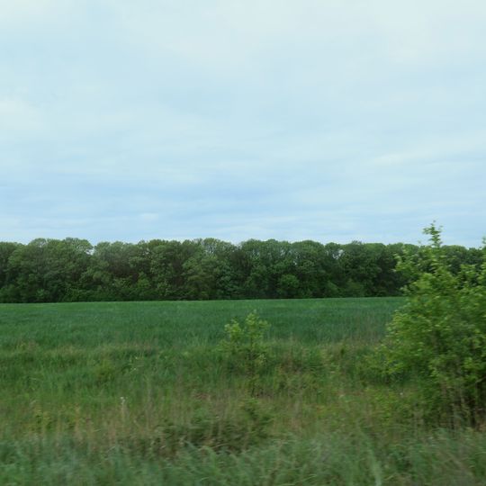 Zasluchnianskyi Forestry Preserve