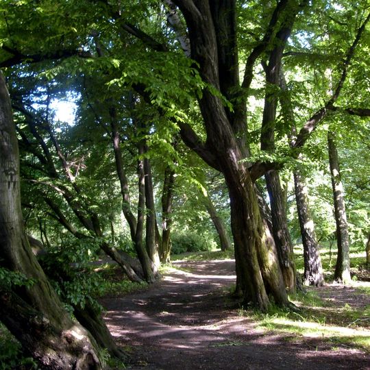 Manor Park in Łuczanowice