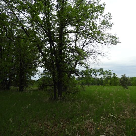 Parc provincial de Hyland