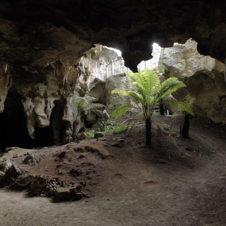 Grottes de Naracoorte