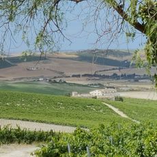 Viña de Arriba o Viña la Riva