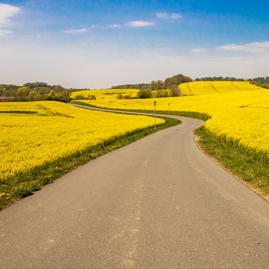 Küsten- und Moränenlandschaft auf dem Gebiet der Gemeinden Hohwacht und Blekendorf bis an die Grenze zum Kreis Ostholstein