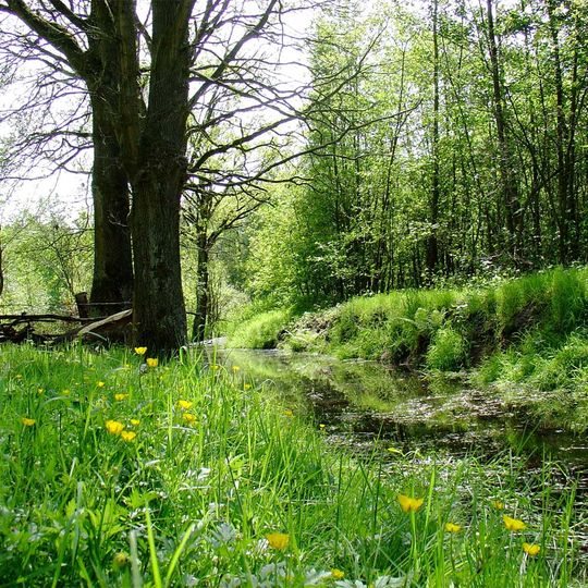 NSG Amtsvenn - Huendfelder Moor