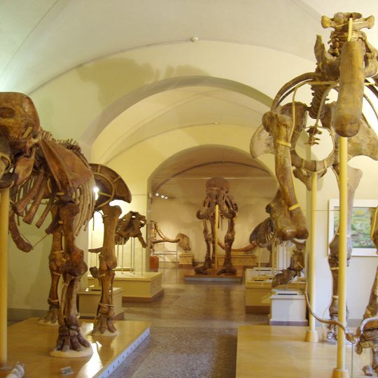 Musée d'histoire naturelle de l'université de Florence