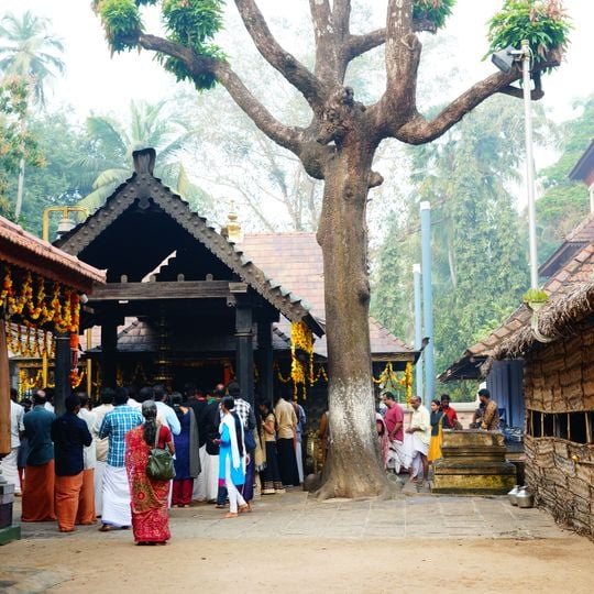 Avanangattilkalari Vishnumaya Temple