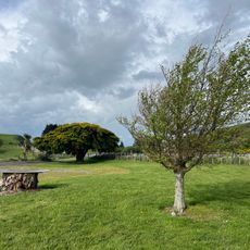 North Anzac Bridge Unnamed Scenic Reserve