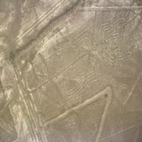 Distrito de Changuillo