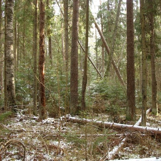 The upper reaches of the Bolshaya Sestra River