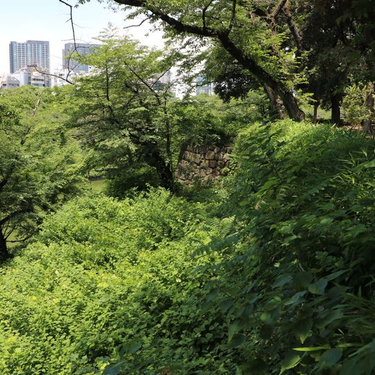 Edojoato no Hikarigoke Seiikuchi