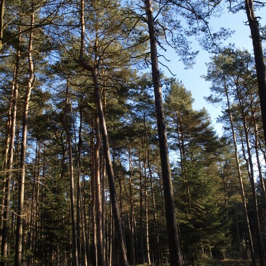 Grünberg in der Gemeinde Frankenburg