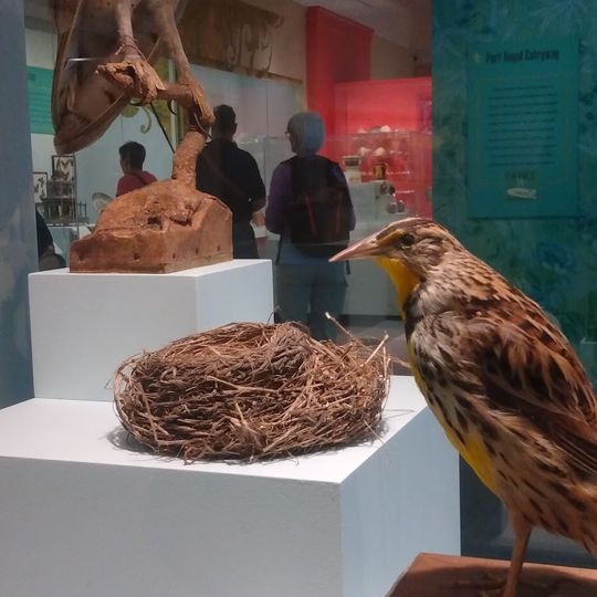 Winterthur Galleries