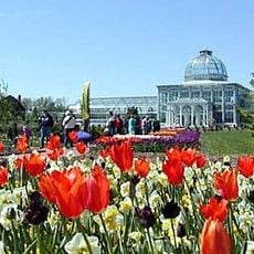 Lewis Ginter Botanical Garden