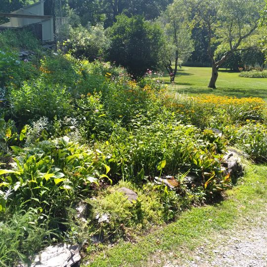 The Georgi on the Battenkill Community Park & Museum