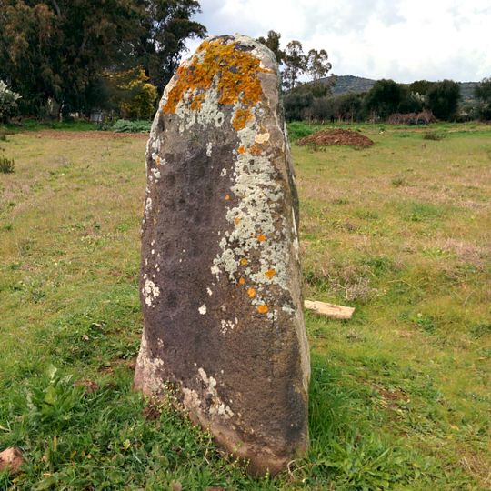 Menhir di Genna Prunas