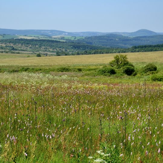 Nakléřovská hornatina