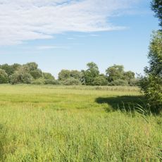 Im Osterried südöstlich von Auchsesheim
