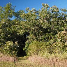 Saint Cloud and Red River Valley Stage Road–Kandota Section