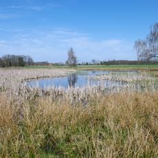 Kammmolch-Biotop Mührgehege/Oetzendorf