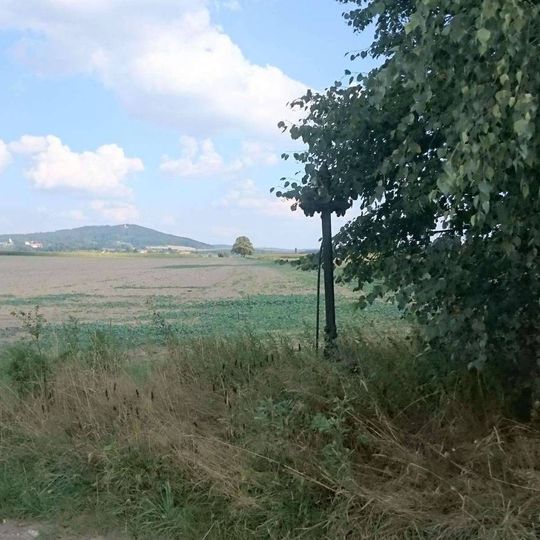 Kříž jižně od Skopytců