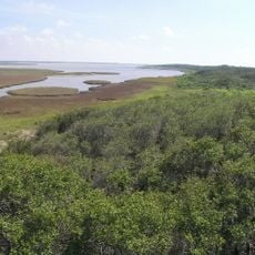 Aransas National Wildlife Refuge