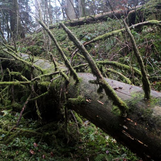 Réserve biologique intégrale de grand'Cote