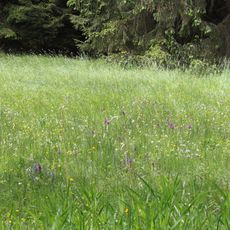 Nemphetal bei Bottendorf