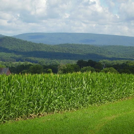 Comté de Huntingdon