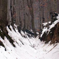 Barania Góra (Góry Świętokrzyskie)