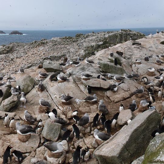 Moutere Hauriri / Bounty Islands Marine Reserve