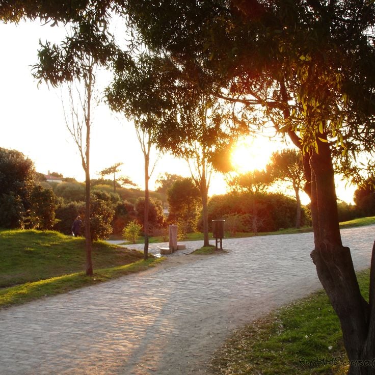 City Park