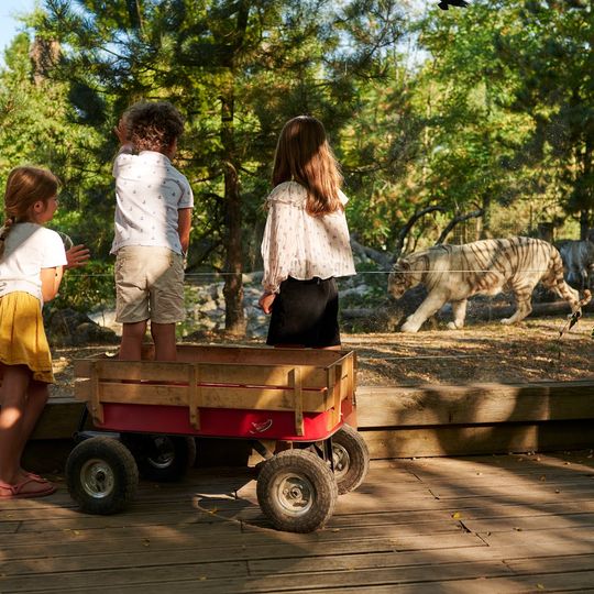 Parc zoologique de Bordeaux Pessac