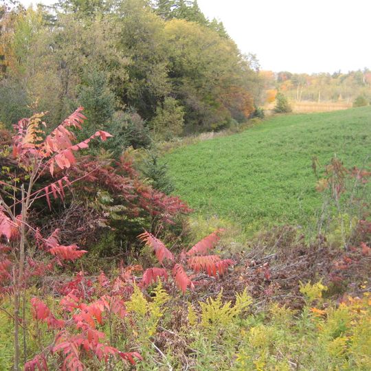 Aurora Site, Wendat Ancestral Village