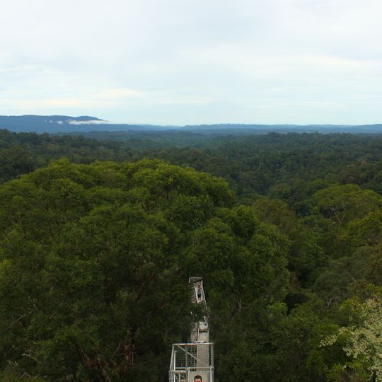 Batu Apoi Forest Reserve
