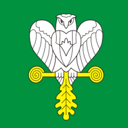 Янгліцьке сільське поселення