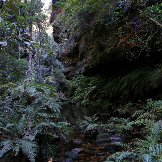 Blue Mountains National Park