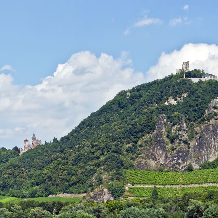 Drachenfels