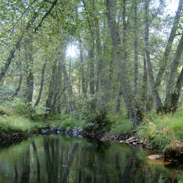 Montesinho naturpark