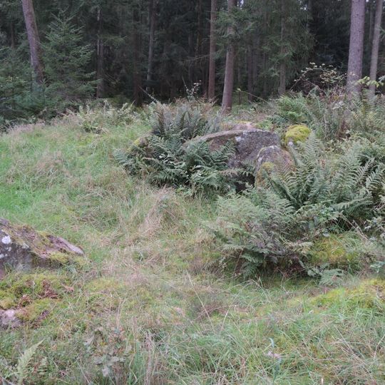 Großsteingrab Rohstorf 1