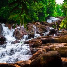 Kanneliya-Dediyagala-Nakiyadeniya
