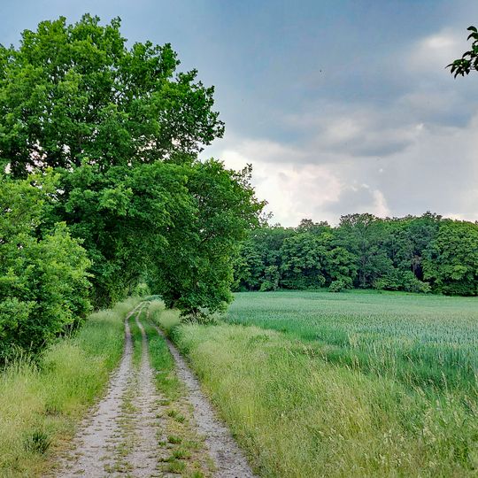 Feldweg Marsdorf–Medingen