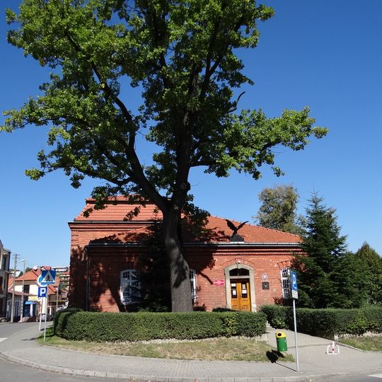 Budynek Towarzystwa Gimnastycznego Sokół