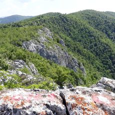 Punto di vista panoramico