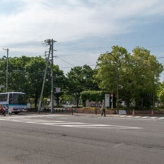Umekōji Park
