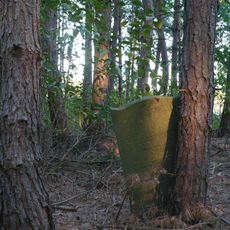 Jewish cemetery in Brójce