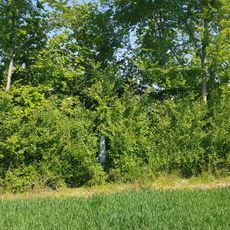 Belgium-Netherlands boundary stone no. 26